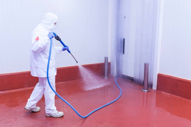 Reliable Plainview, TN  Pressure Washing Services Solutions