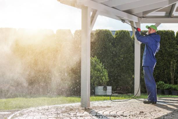 Best Soft Washing  in Plainview, TN