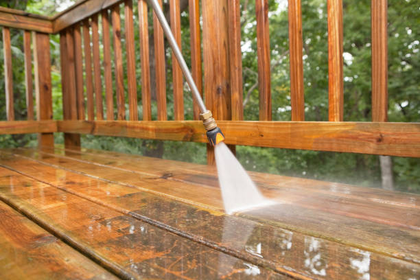 Best Gutter Cleaning  in Plainview, TN